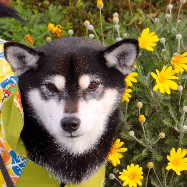 2d1eea59 16c2 4200 92c6 bf9db4eab5a1 1578307513363