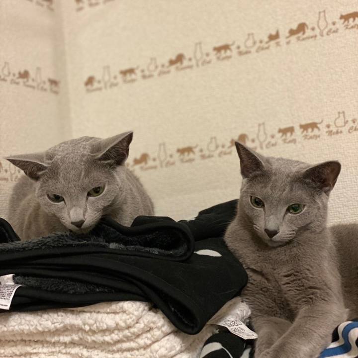 2d1f0566 cb76 4fe9 854c 54c314fc4fcf 1637708059225