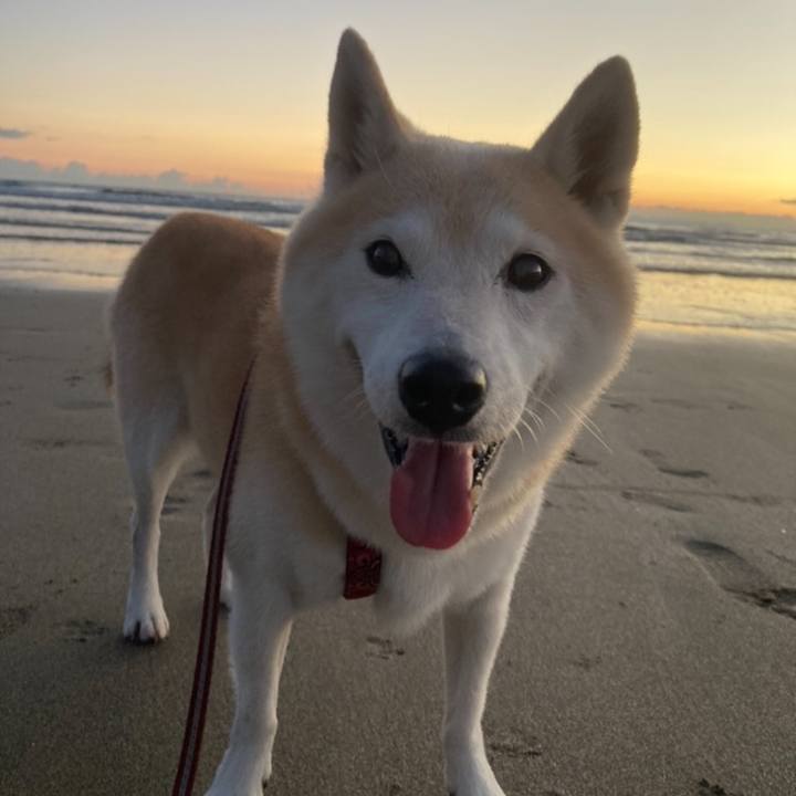 2d1f079d c3fe 451a a87a 109bee9d4c2e 1636293521044