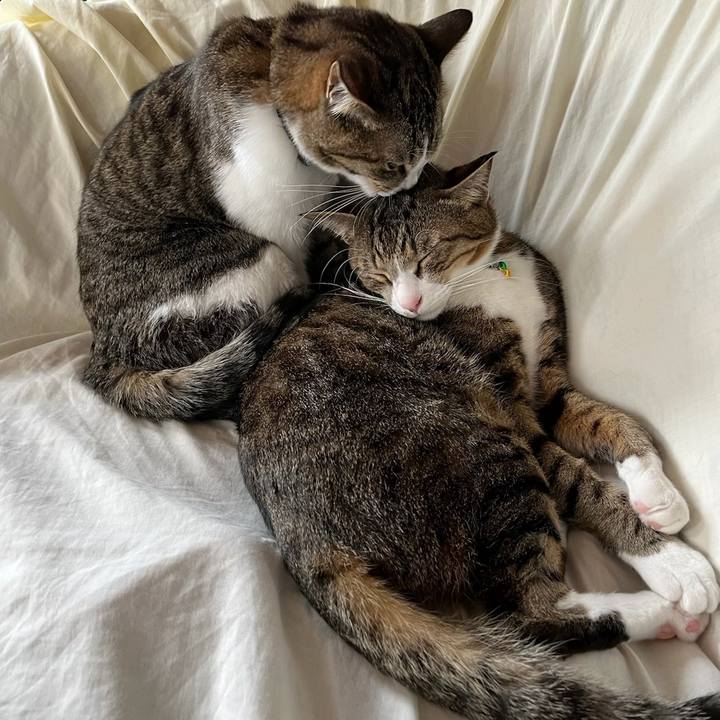 2d1f22b2 2ed8 4305 a8a1 6c658fbaf2b4 1679361053595