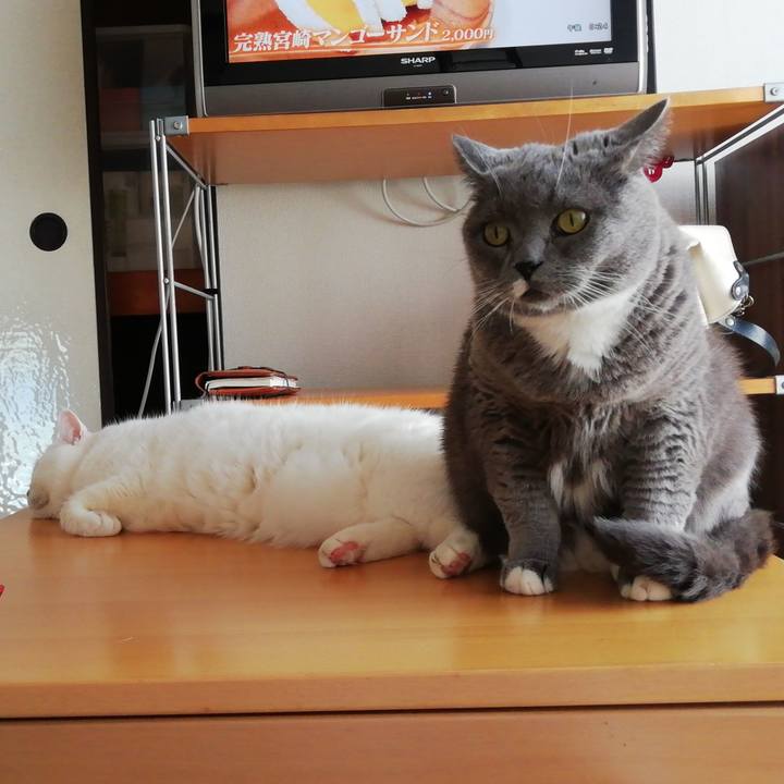 2d1f5ee0 6c1f 44e4 b3b0 9086f1ad3f6f 1665546477331