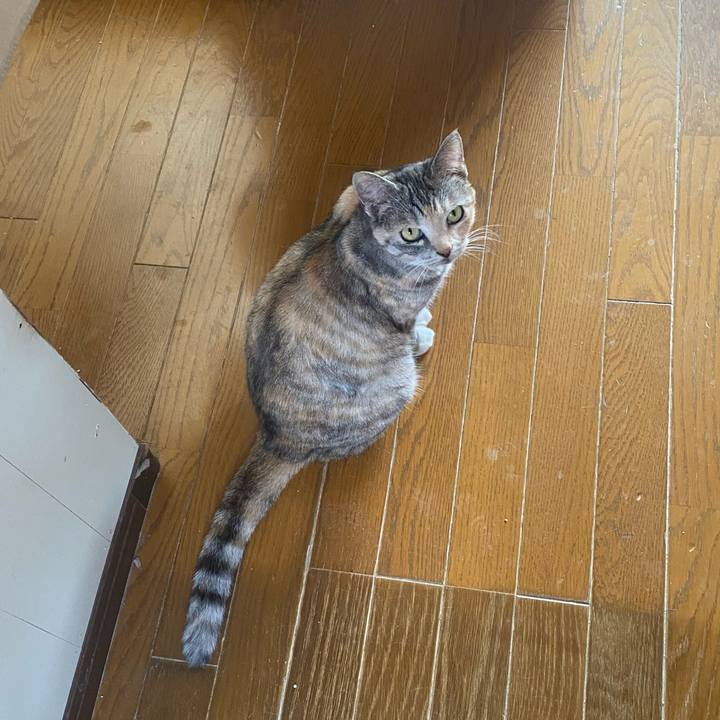 2d1f61c8 5c58 4bf5 8dd6 126bbcfe1616 1622335029871