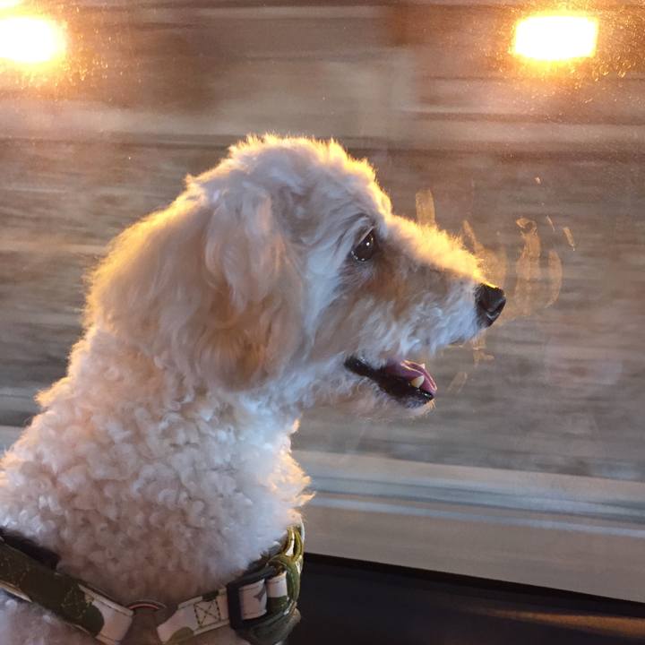 2d1f669f 078d 473d bc38 bc257724fa0f 1515716917786