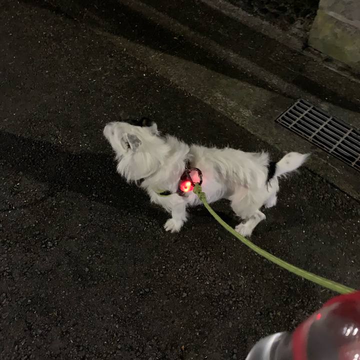 2d1f81d9 47a6 465e 8a29 713e31da2a05 1567509722232