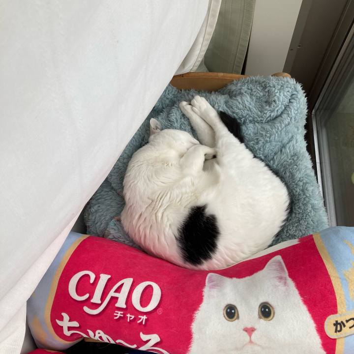 2d1f8aa7 b7c2 4e1b bc69 fda70d9182c0 1771293170943