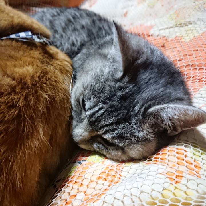 2d1f93ff e084 4fd7 9bf0 33761e128135 1573910424318