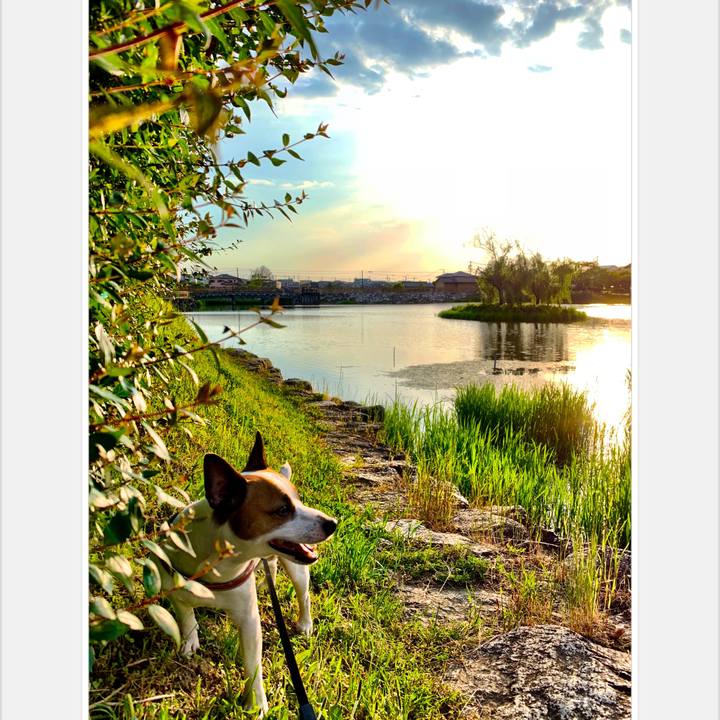 2d1fbe60 af45 4620 8d43 a2b98676601f 1558006517790