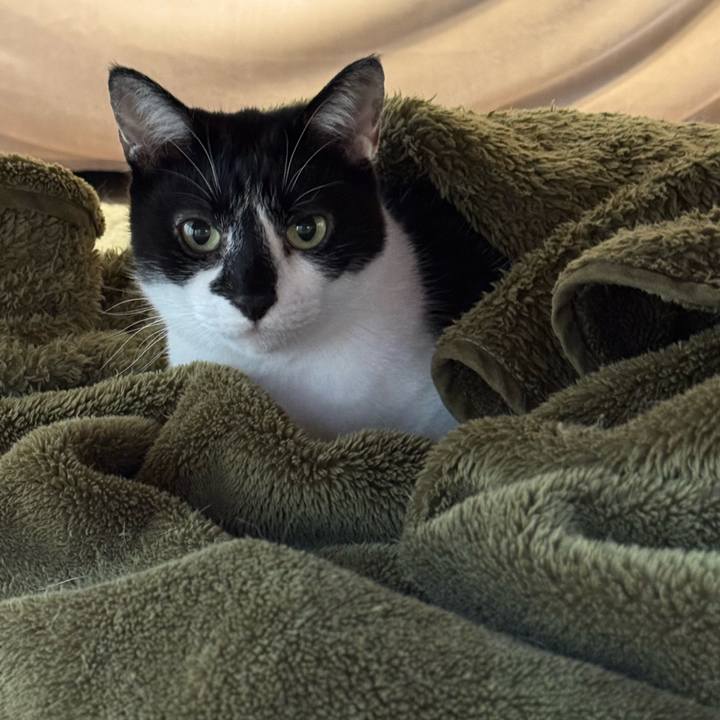 2d200d0a 1984 4c04 b645 cfe141a948e5 1761100118422