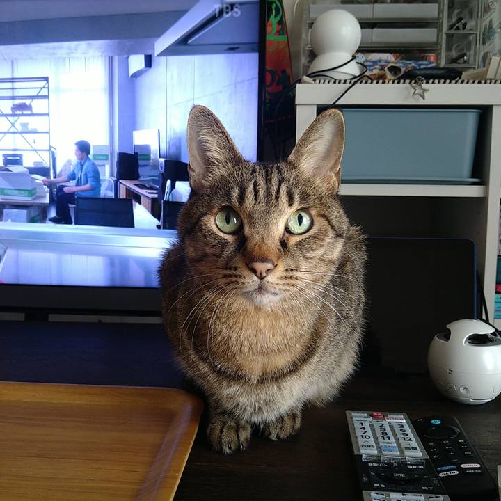 2d20187a b272 42ef 84a9 c324e39e3c44 1735604443000