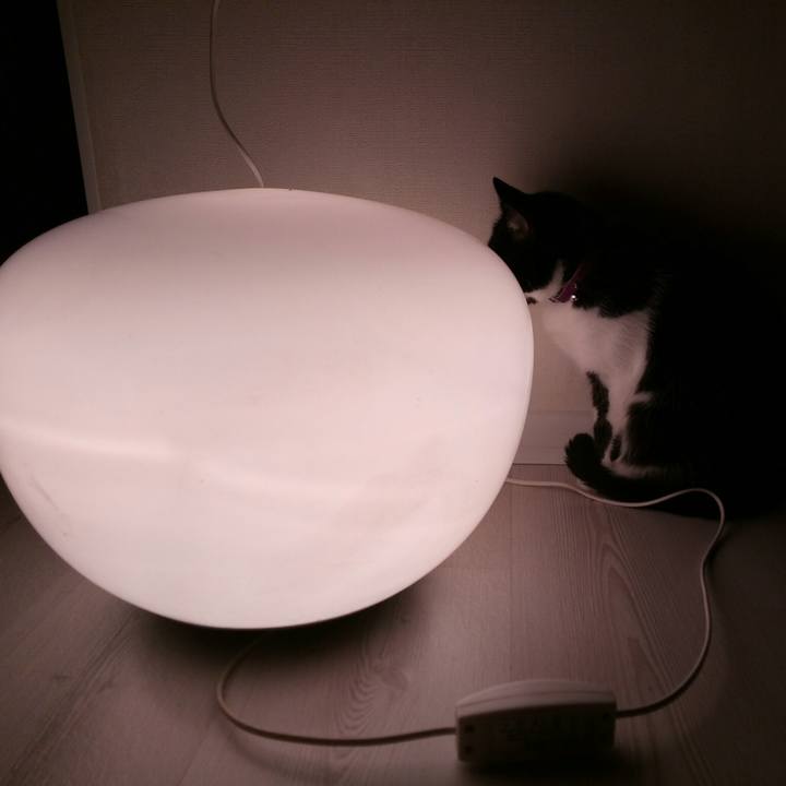 2d20310c 362a 4230 aee0 87b5f8ce2267 1509428468288