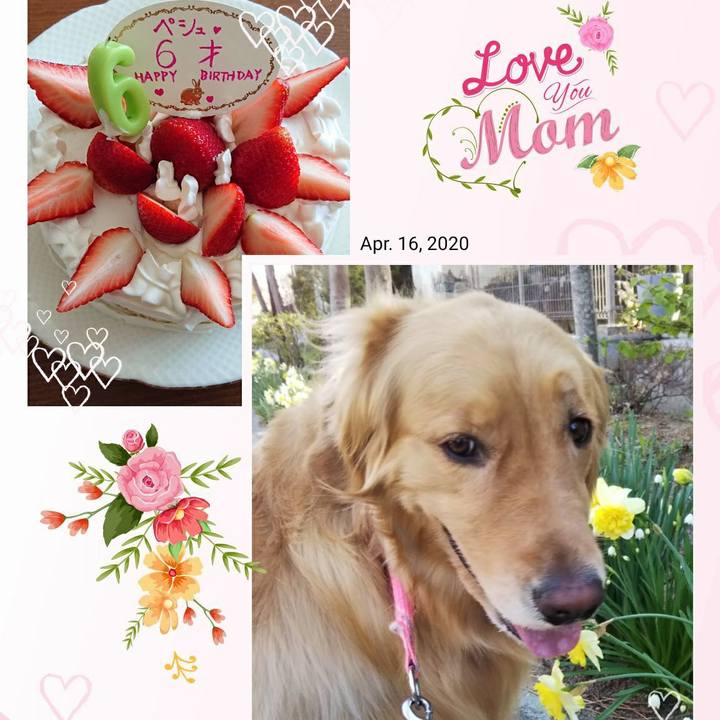 2d2043bf 139c 4db4 97ef 6eade7eba25a 1587014141913