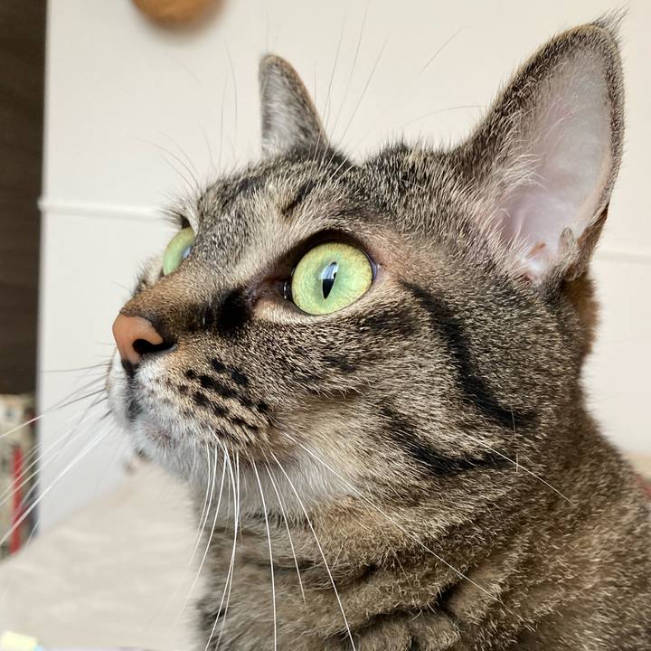 2d208732 8555 4ace b331 87c41afd3897 1691980630158