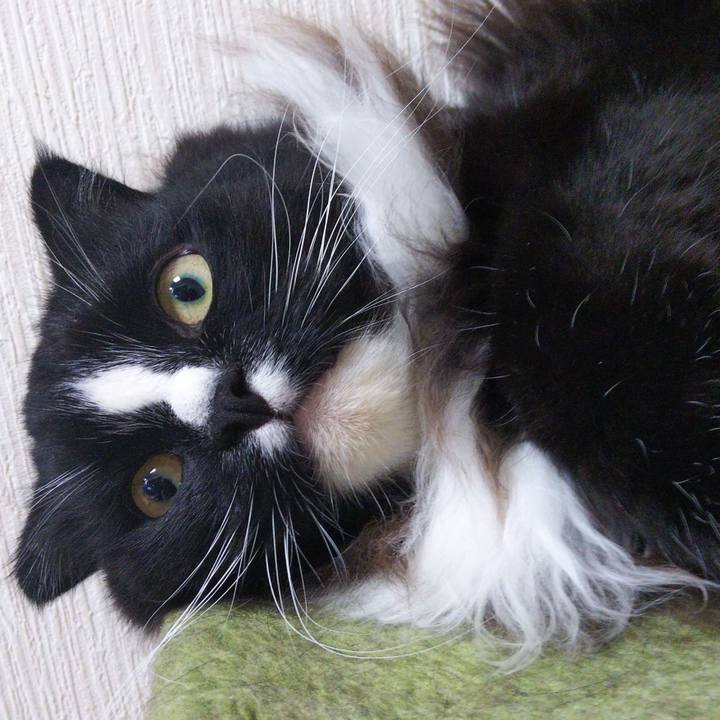 2d209bbb 99fb 4e7a af36 45e3255ec5b7 1662598452483