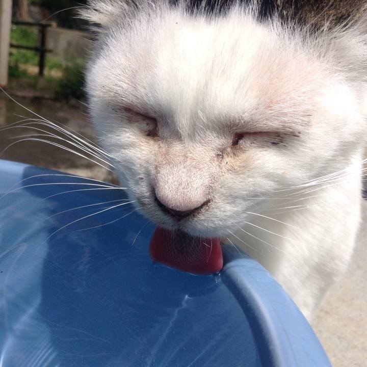 2d20ae13 7543 4e43 a745 e923e83f4de9 1525578612746