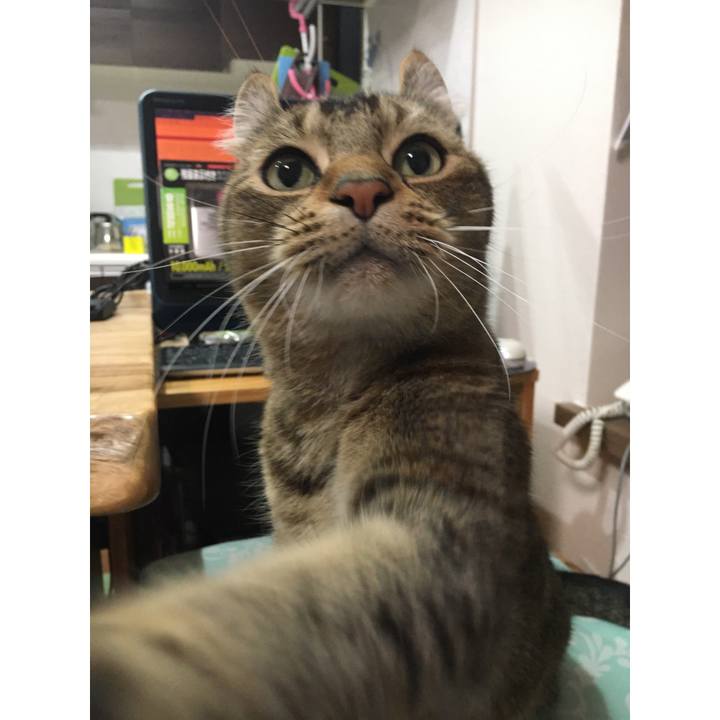 2d20bb1e a961 4a5e 8f4f f010642bf562 1615012385523