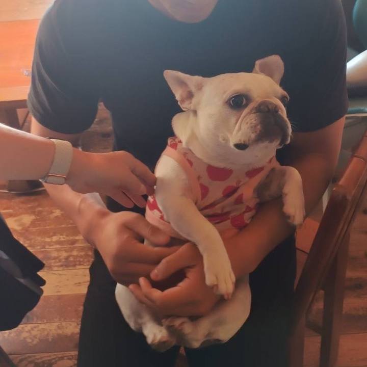 2d20c621 1072 48f2 9054 80022e098d0a 1730762997708