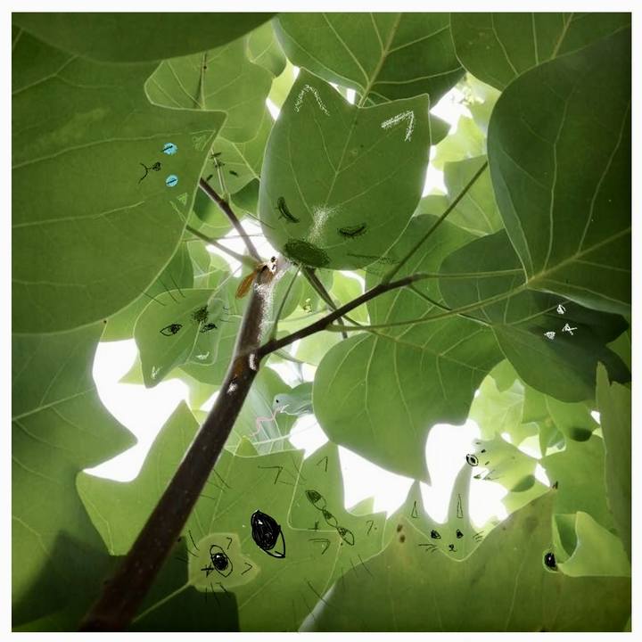 2d20f540 cc4b 45bd a672 cf3673ce1b79 1693285795806