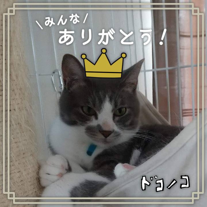 2d2129b6 35a6 4045 beba b228143724c2 1622853603573