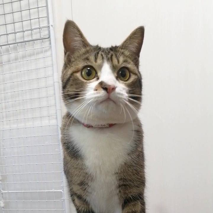 2d2172db 8ad2 4b32 8898 1f9aeadc7da5 1677618660211