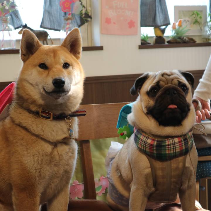 2d21884c b161 4d31 8054 75849dbcb75a 1554293930146