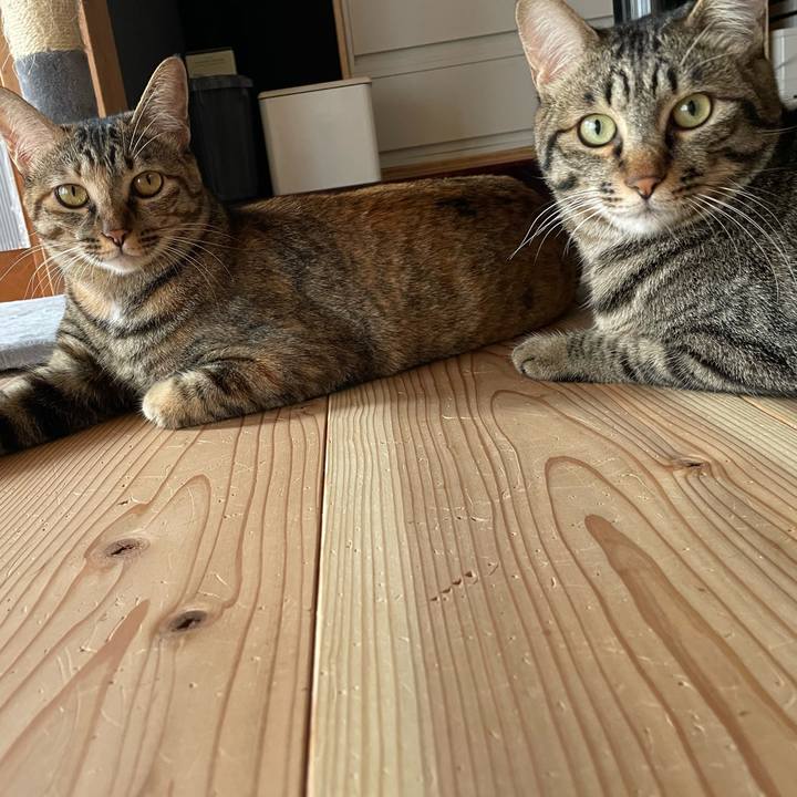 2d219429 f1c5 4e53 aa45 078019d89937 1758424583326