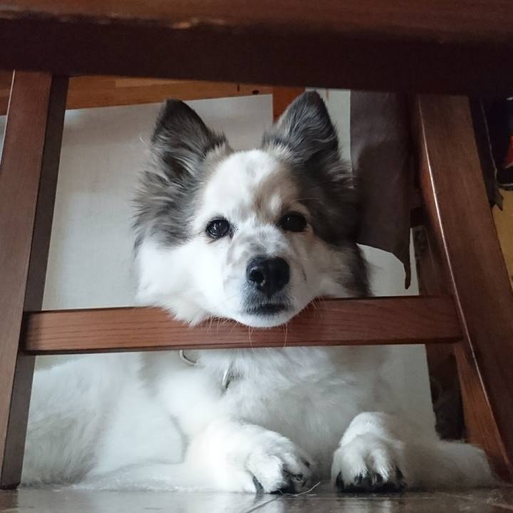 2d21ecfa 430d 4e53 a749 88b78ece3f2a 1590580045692