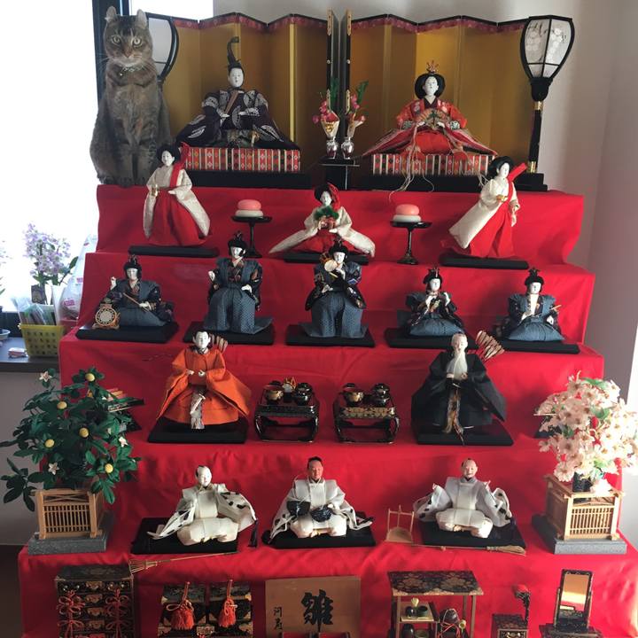 2d223d72 e532 4720 9ac5 dccd718ba687 1550800550825