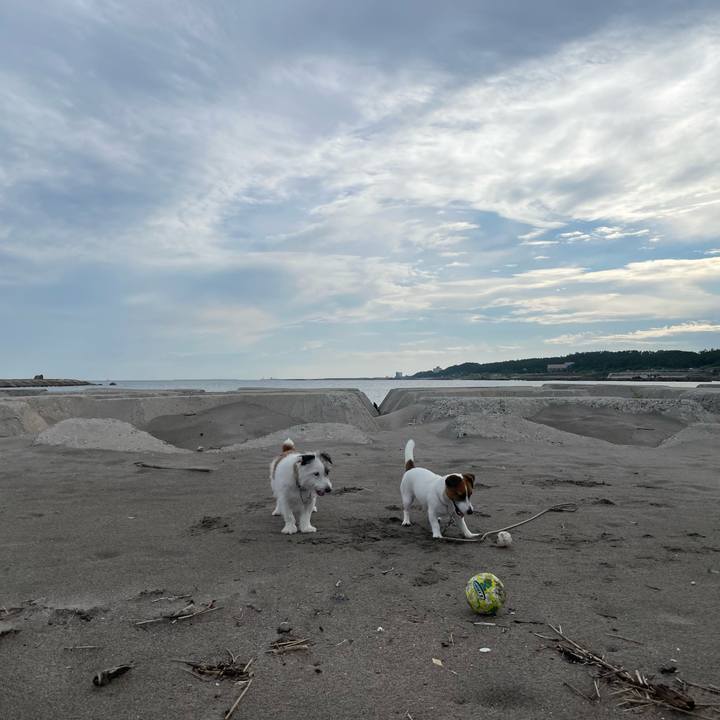 2d225d13 0944 43cf 9863 724c38628893 1660606400313