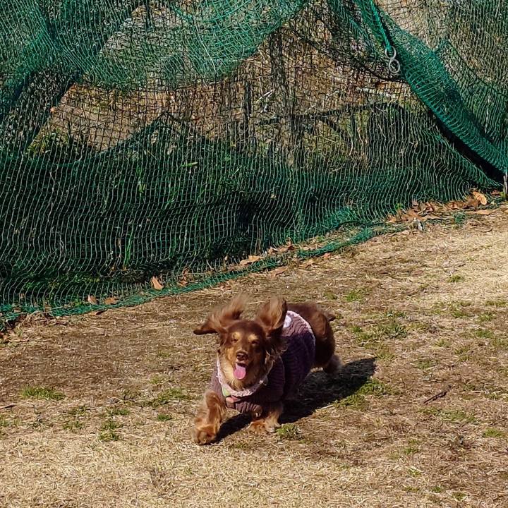 2d225d4e 3ff8 4e31 8803 364214b0f25a 1742606366571