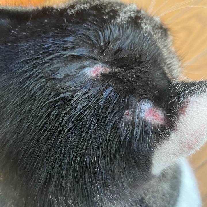 2d2263ad b9ce 4c41 ad23 3646f0ded0da 1693473231308