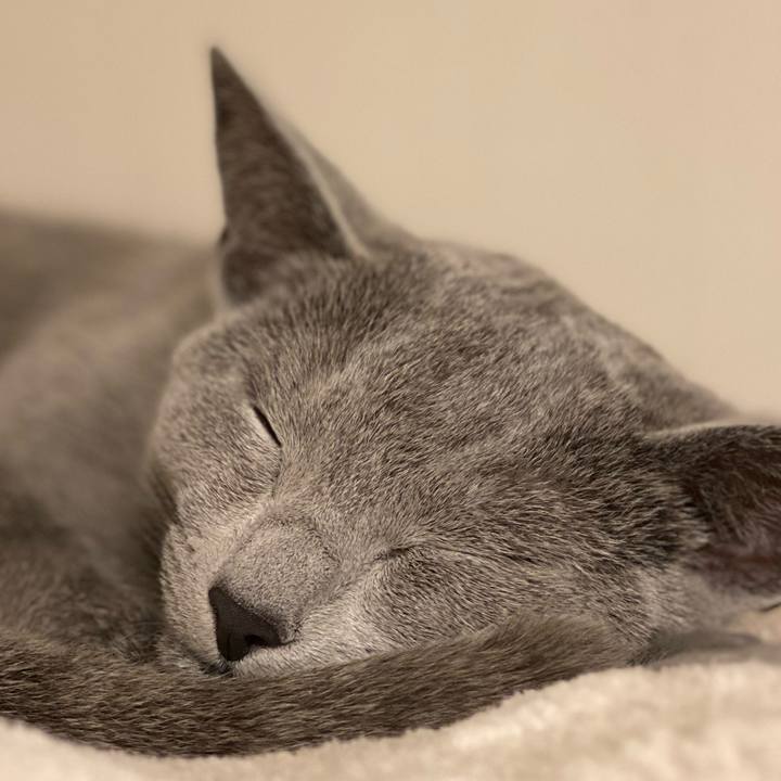 2d2266d7 91f9 4402 896f e13895fa7e64 1615456042352