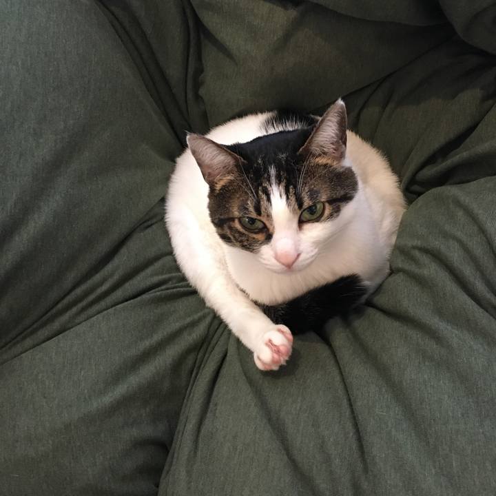 2d2295e6 0240 4034 8bab afa7387c2153 1587181021206