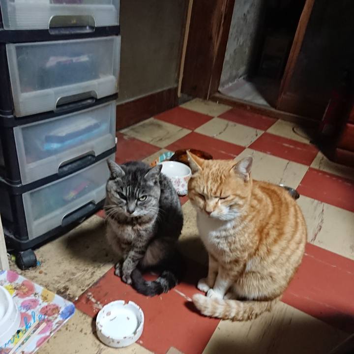 2d233133 ad45 4b61 83cb 4df6ec1c7f92 1582920708771