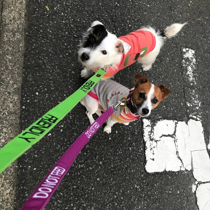 2d235673 74ed 41f0 b9bc 89c155251cd3 1509611099553