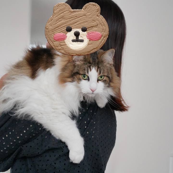 2d2368eb 8c64 4f99 b9ba 61163621a6ac 1685872708902