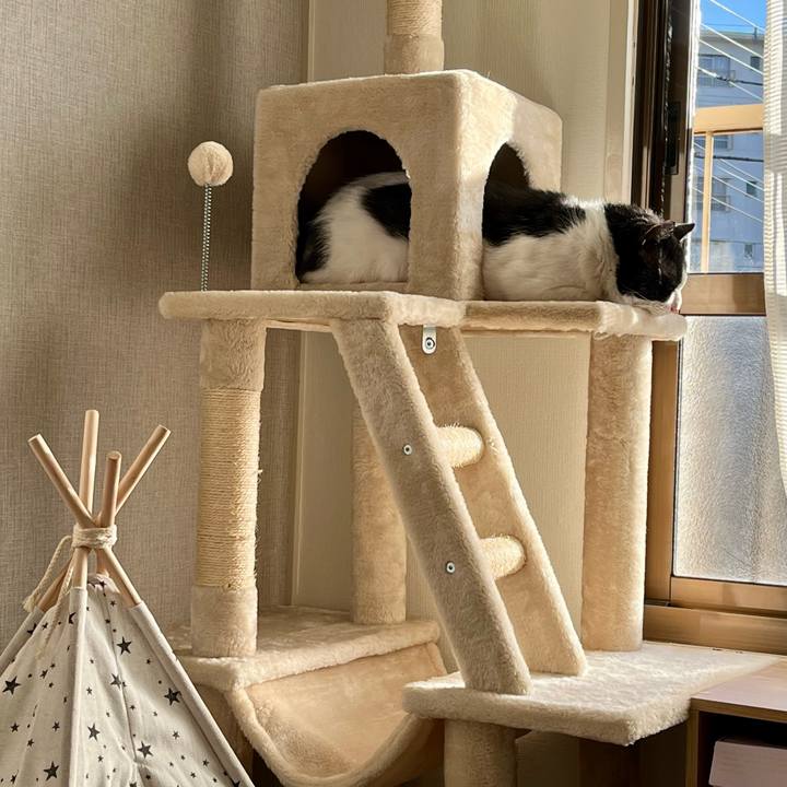 2d236e33 a021 40a9 ad7f 64cbe94e6dc3 1641277641883