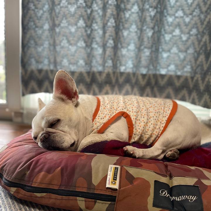 2d2383ba 7aa8 47ae a307 6ed665dcf5ba 1760149066053