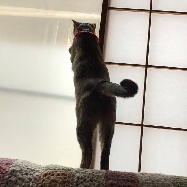 2d23b316 5465 4c8c 96ad ff8ac5300559 1611795379541