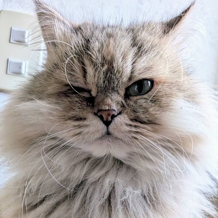 2d241aeb d032 40ec 8aa5 c1f2f67756e5 1731629225408