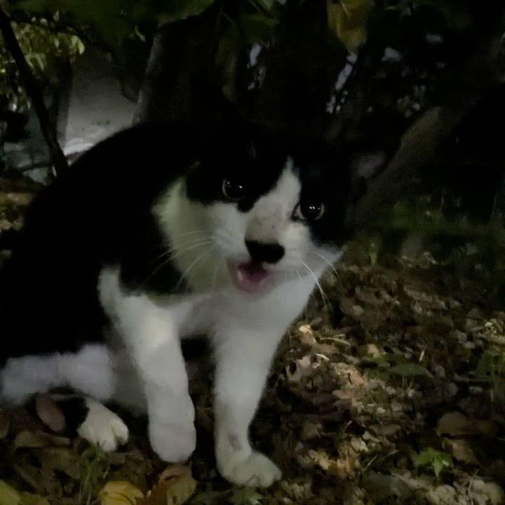 2d242517 477f 42d7 b8cb 560d8c116466 1758903834164