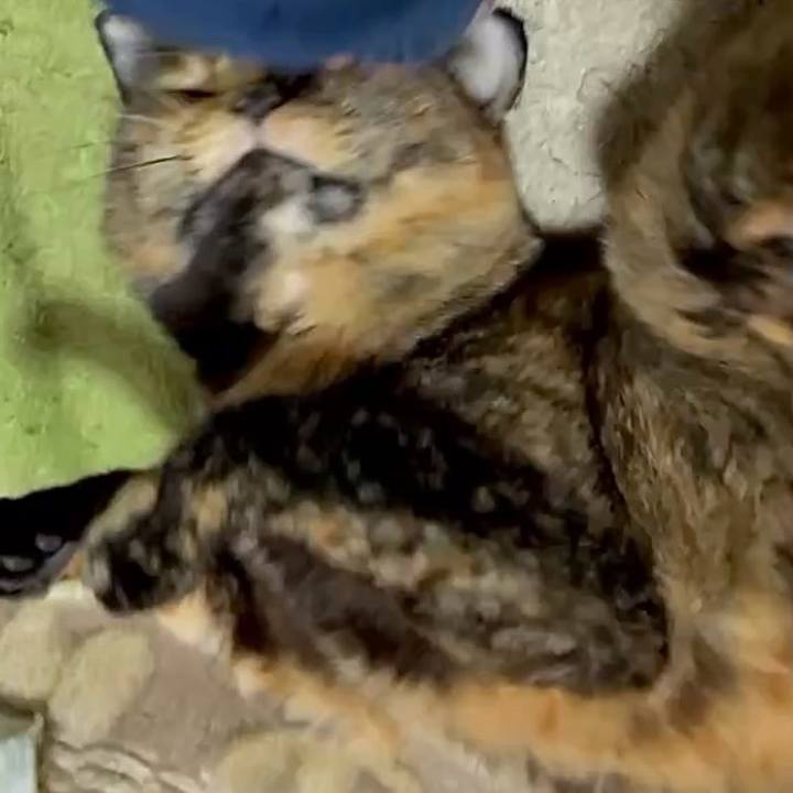 2d2427be 468e 4cea 9e78 73d15e3975d6 1764411847862