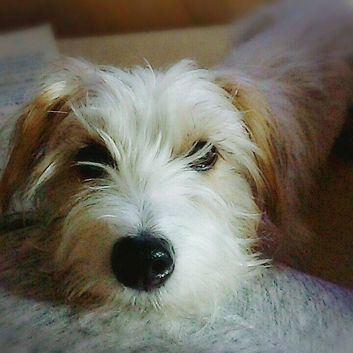 2d243938 c06c 45c7 a964 0bdd1aeee9a2 1513778751719