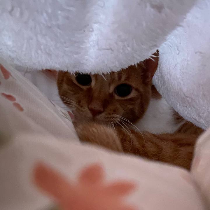 2d243c3c d006 4605 adcd 04b439bbba15 1621651804536