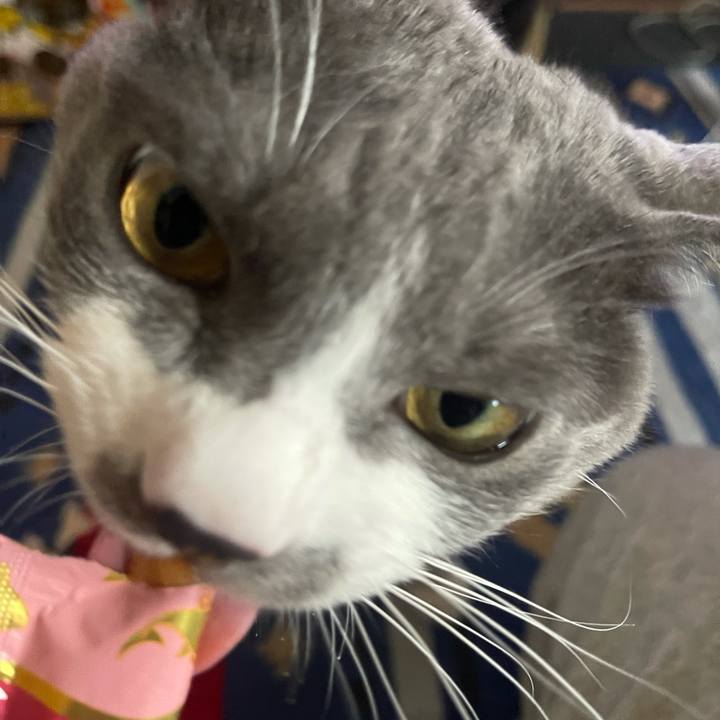 2d2451af bec5 414a 848f f2dc79ffe7cb 1645600940653