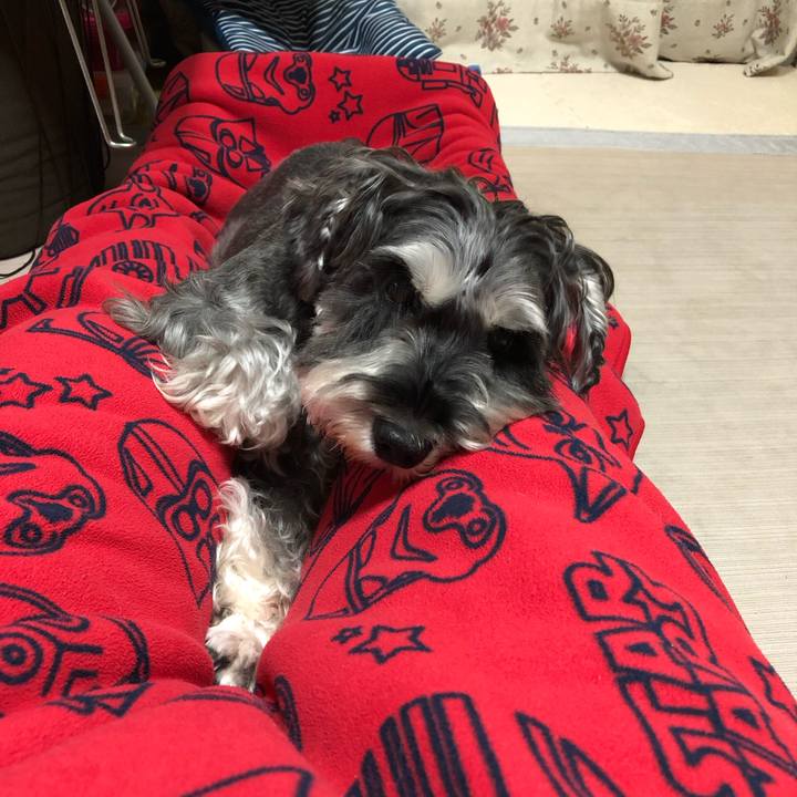 2d2499b9 c547 4981 9375 23d289932a5c 1634044742576