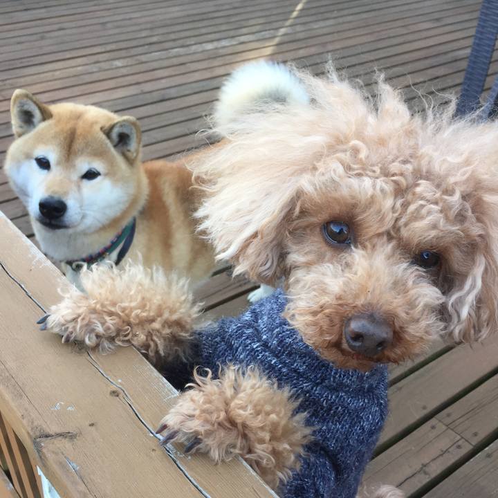 2d24ddec 6690 42ba be7a 86ac102b0618 1518943583079