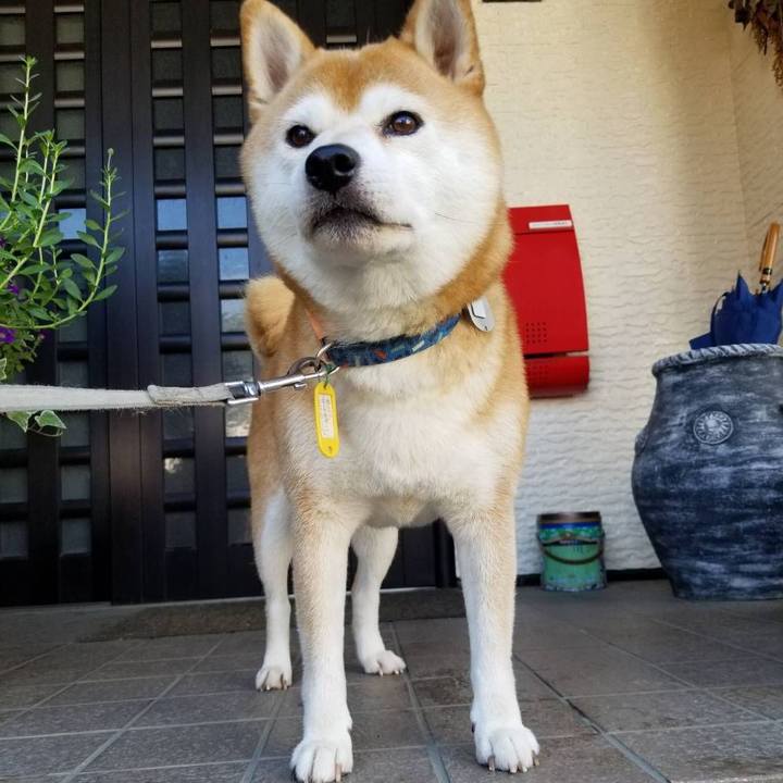 2d25036f d3c1 4c16 b0f7 0afdde02b113 1567209382730