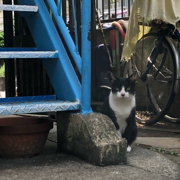 2d253399 951c 4c78 b010 d1af6a96be35 1621176517381