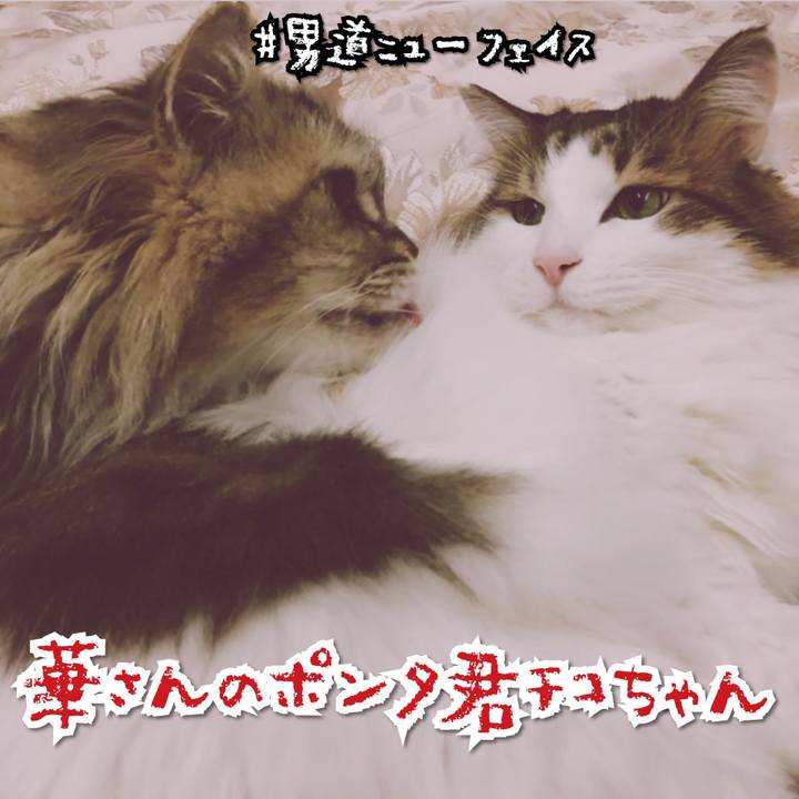 2d25404b 69d6 42ad a777 75214506020a 1566905850825