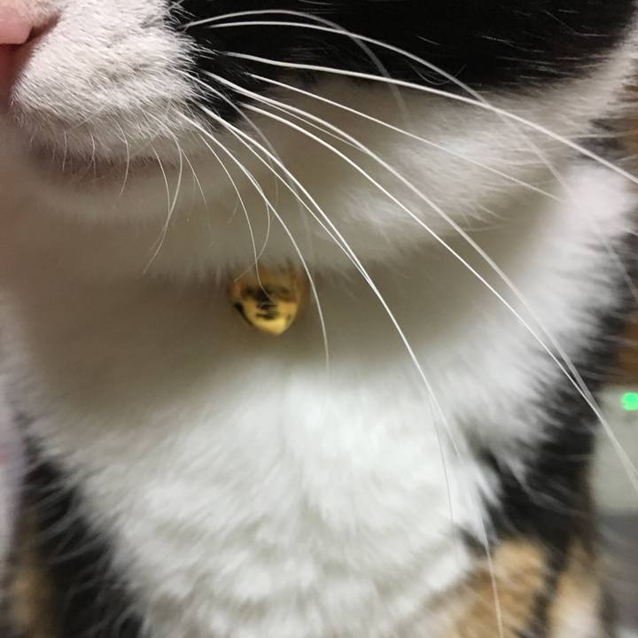 2d254738 ce31 4f8c 8f6a 2173ce18c228 1511011465439